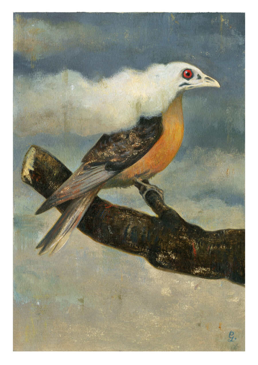 Gérard DuBois - «Saving our birds» - Sunday Review, The New York Times