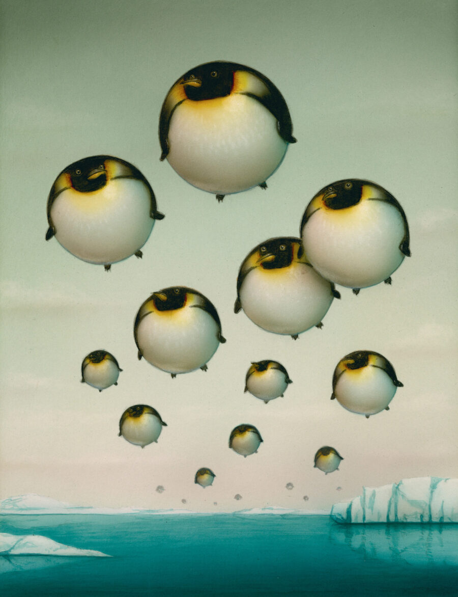 Naoto Hattori - Ballon penguin