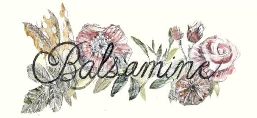 balsamine