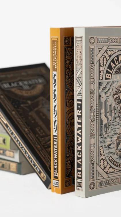 Couverture Blacwater VI de McDowell