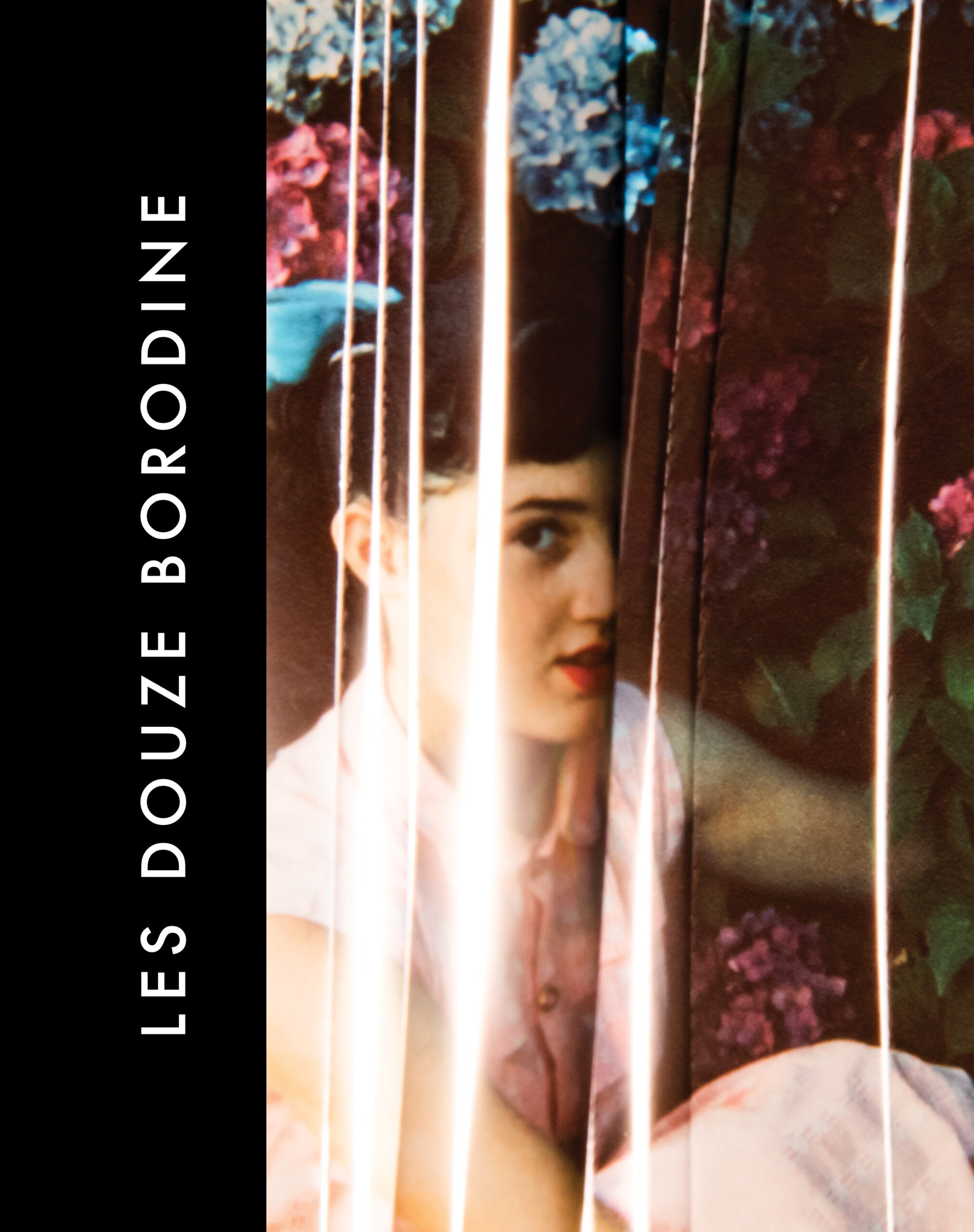 Couverture "Les douze Borodine"