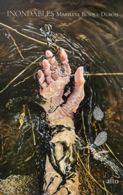 Couverture du roman Inondables de Marilyne Busque-Dubois. L'oeuvre en couverture est de l'artiste Mireille R. Champagne