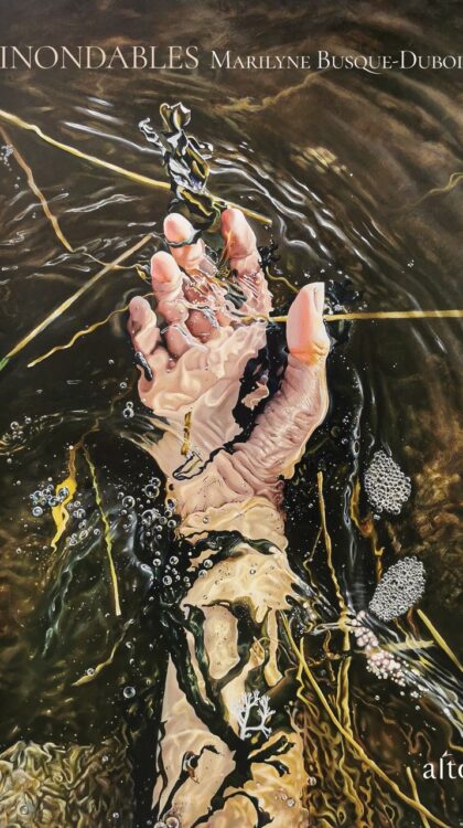 Couverture du roman Inondables de Marilyne Busque-Dubois. L'oeuvre en couverture est de l'artiste Mireille R. Champagne