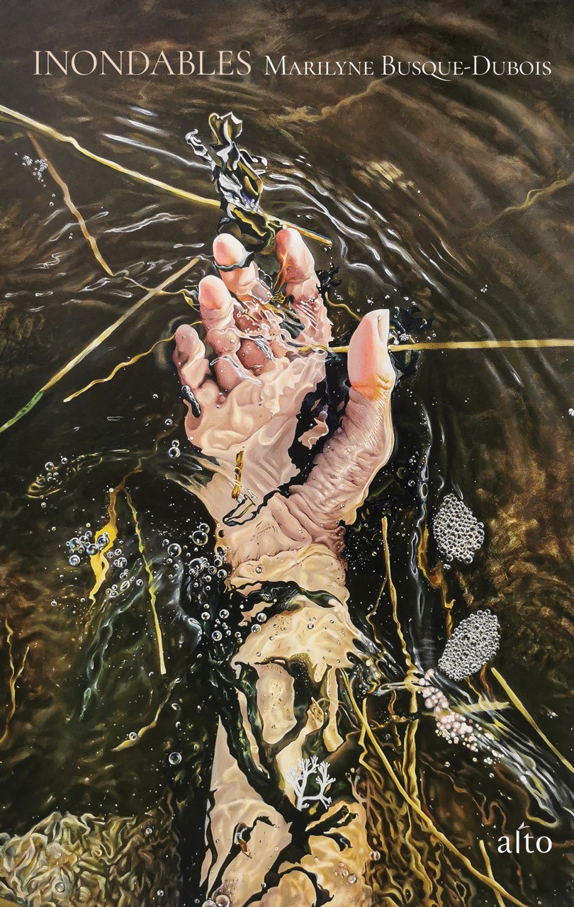 Couverture du roman Inondables de Marilyne Busque-Dubois. L'oeuvre en couverture est de l'artiste Mireille R. Champagne